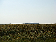 Western Michigan [2009] 045